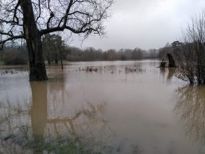 Large arts of Whitewebbs Park Golf Course were underwater on 14th January, and again on the 28th