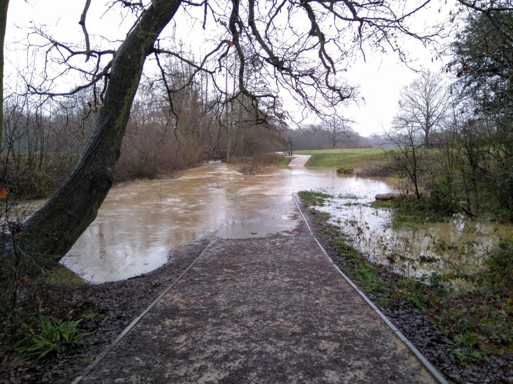 Flooding along the Turkey Brook at Forty Hall Estate in January this year
