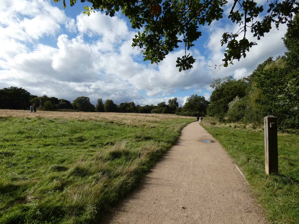 Forty Hall Park is currently the only council-run park in Enfield with a Green Flag Award