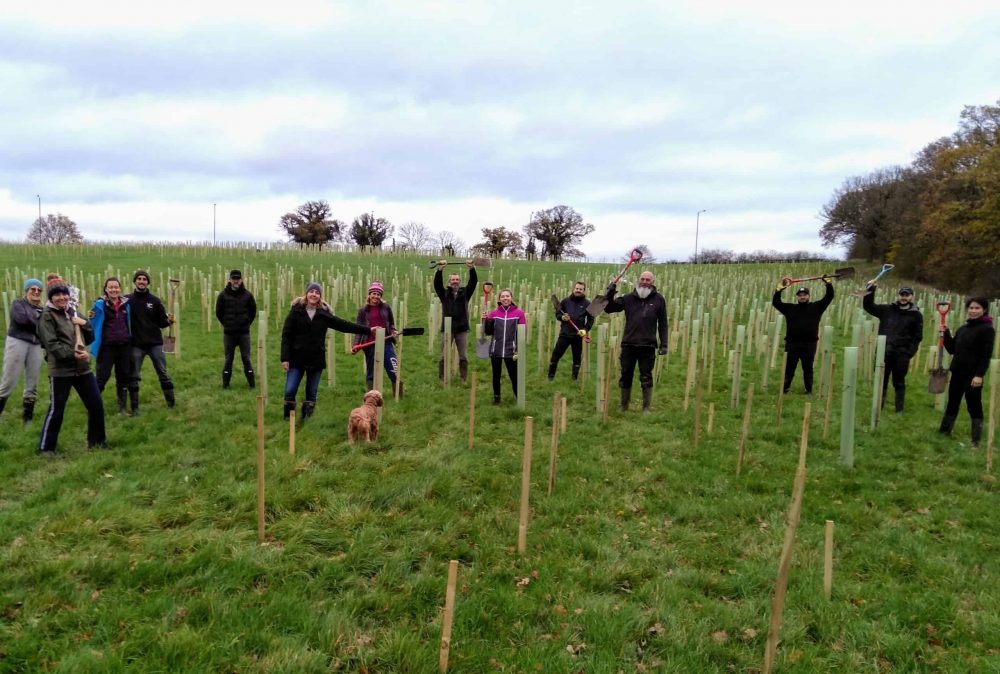 Volunteers attending the very first planting session in November 2020