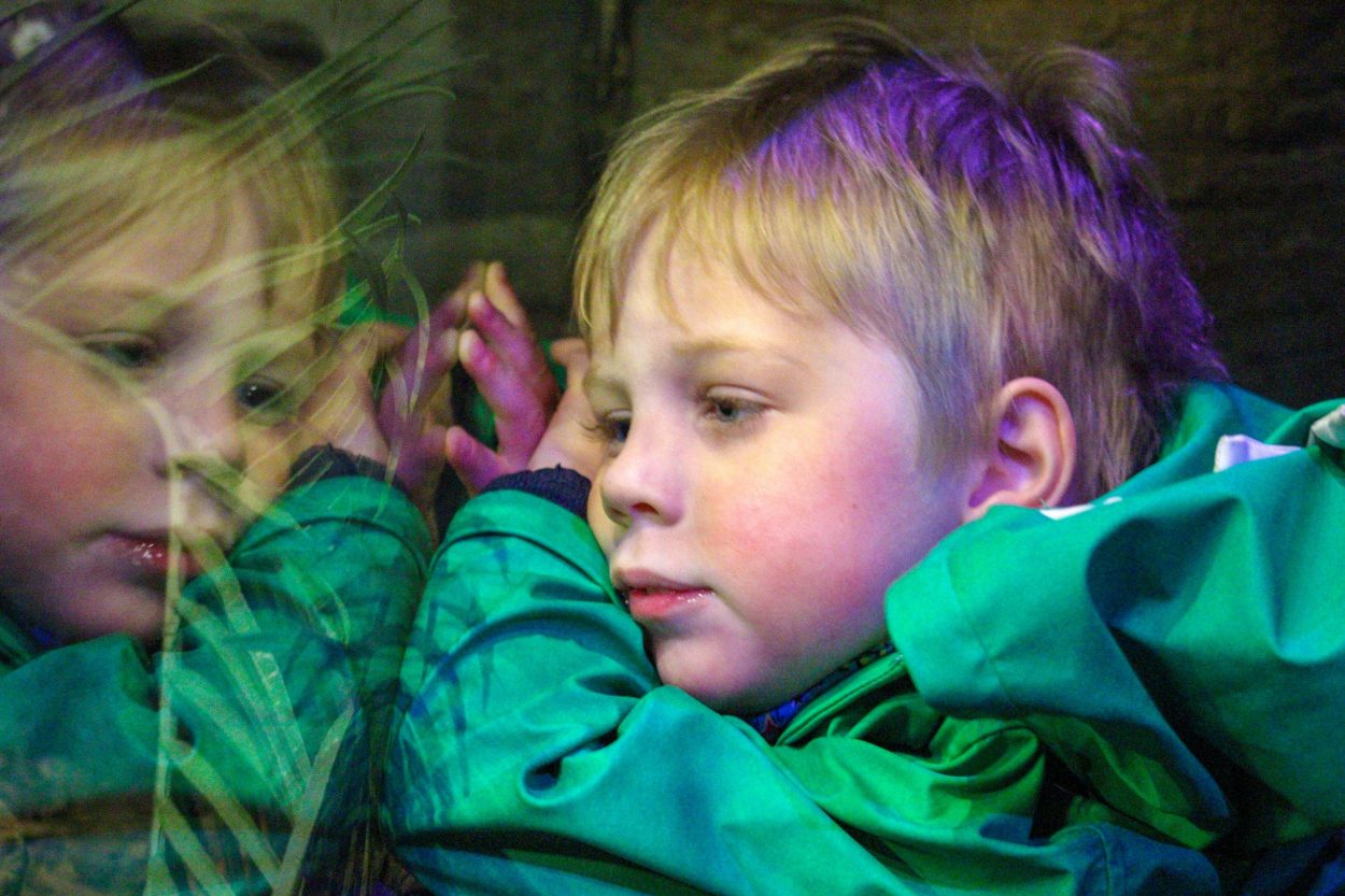 Lucas Whitehouse has been diagnosed with cerebral palsy and global development delay