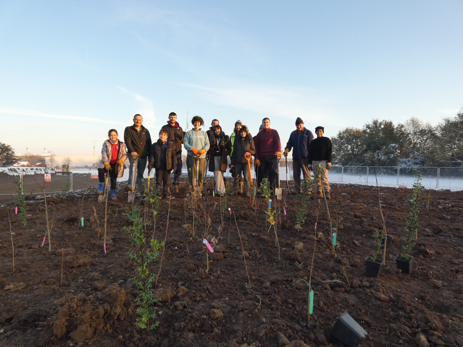 Volunteers helped plant the 'Tiny Forest' in Enfield Highway
