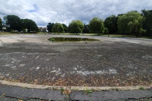 The boating pond at Broomfield Park (credit FoBP)