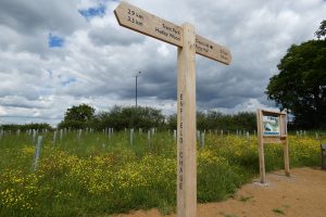 Enfield Chase Restoration Project