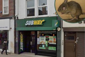 The Subway branch in Enfield Town and (inset) a mouse found inside (credit Google/Enfield Council)