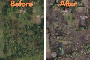 Tree cover at the Kingswood site before (left) and after (right) the felling
