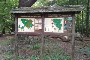 Spurs are set to takeover part of Whitewebbs Wood as well as former golf course land