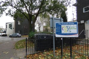 The Avenues Estate, Bush Hill Park