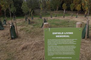Enfield Living Memorial in Town Park