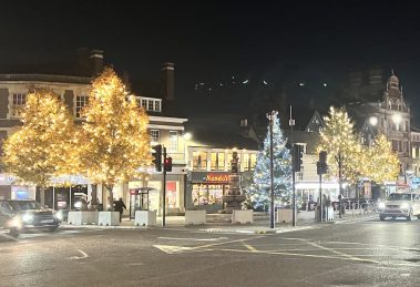 Christmas trees in Enfield Town