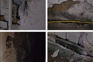 Various areas of damp in Tania's flat