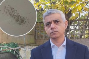 Sadiq Khan and (inset) damp in a home the mayor visited (credit LDRS/Noah Vickers)
