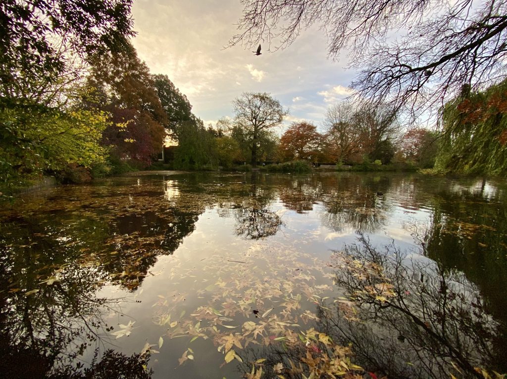 Broomfield Park's lower lake (credit Helen Gudgeon)