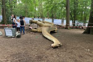 The animatronic dinosaur at the Jurassic Encounter event lies on its side after falling over at Grovelands Park (credit Enfield Council)