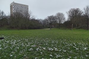 Kenninghall Open Space, Edmonton