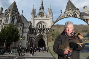 The Royal Courts of Justice and (inset) Sean Wilkinson at Whitewebbs