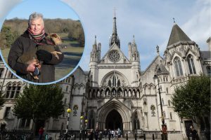 The Royal Courts of Justice and (inset) Sean Wilkinson at Whitewebbs