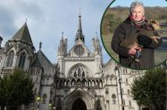 The Royal Courts of Justice and (inset) Sean Wilkinson at Whitewebbs