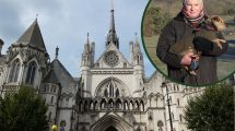 The Royal Courts of Justice and (inset) Sean Wilkinson at Whitewebbs