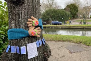 A tree hugger in Enfield Town