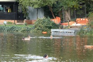 Wild swimming at Hampstead Heath