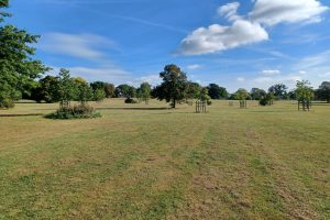 Broomfield Park is one of the seven local parks whose management has been reviewed by RSK