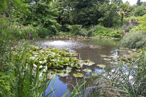 Myddleton House Gardens (credit LVRPA)