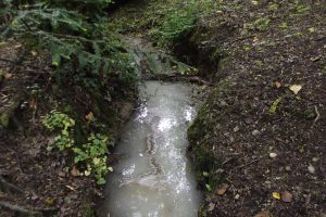 Pollution in a North London stream