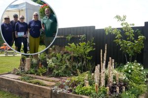 The winning garden and (inset) the Cape Manor College team