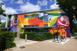 Artwork 'Autumn' by artist Agwa now adorns Enfield Town Library