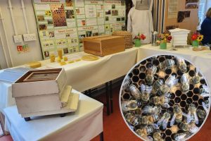 A previous honey show at Capel Manor and (inset) some honeybees