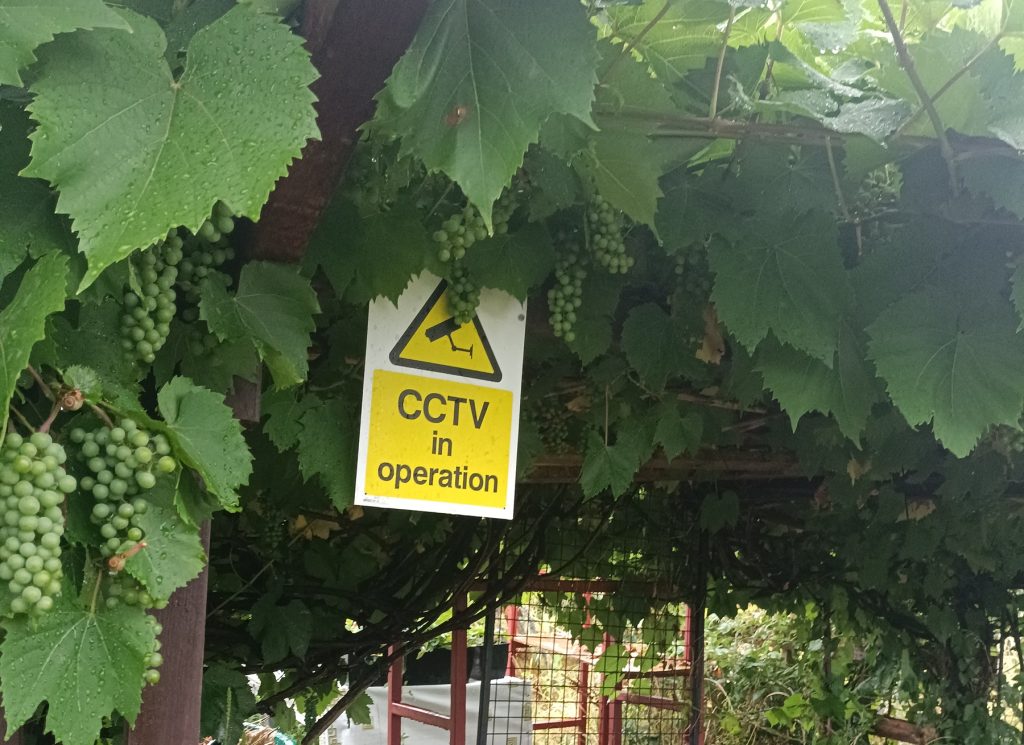 CCTV has been installed by some plot holders (credit Benjamin Kelsey)