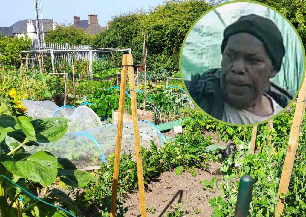 Food growing (credit David Hughes via Unsplash) and (inset) the suspect captured on CCTV