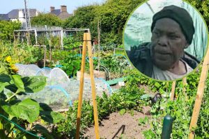 Food growing (credit David Hughes via Unsplash) and (inset) the suspect captured on CCTV