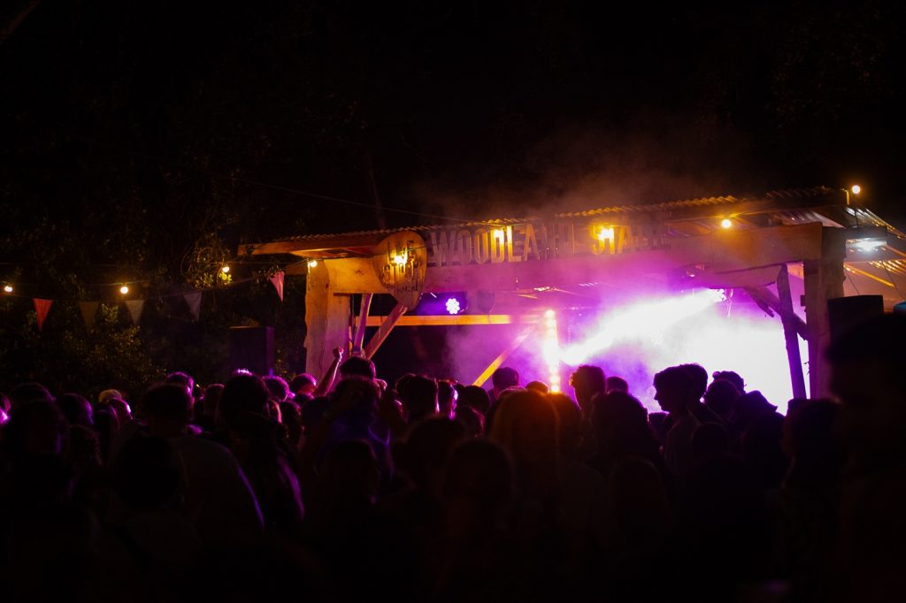 The Woodland Stage featured blues acts throughout the day