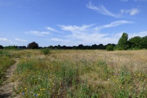 Enfield Council wants to allocate 291 homes at The Dell, opposite Enfield Crematorium
