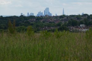 The Green Belt in Enfield