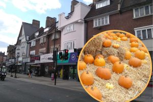 Green Lanes and (inset) some pumpkins