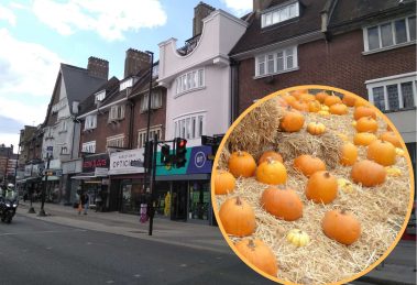Green Lanes and (inset) some pumpkins