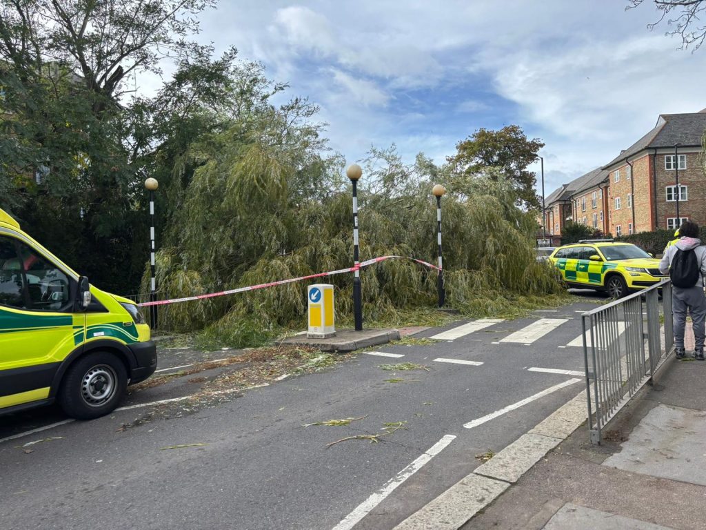 The aftermath of the incident in Green Dragon Lane (credit Sue Woollard)