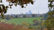 View of London's skyline from Botany Bay Farm in Enfield