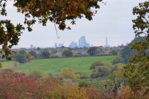View of London's skyline from Botany Bay Farm in Enfield
