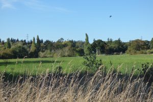Green Belt land west of Crews Hill Station, owned by developer Berkeley Homes