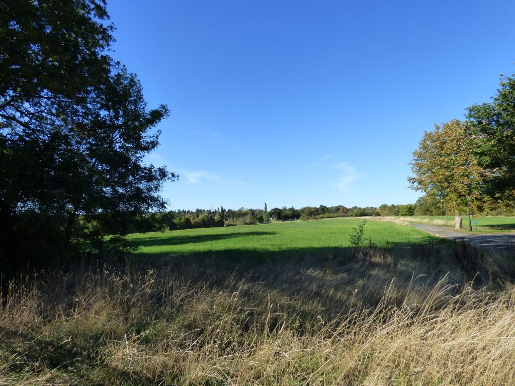 Green Belt land west of Crews Hill Station, owned by developer Berkeley Homes