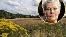Whitewebbs Park and (inset) Dame Judi Dench (credit Caroline Bonarde Ucci via Wikimedia Commons)