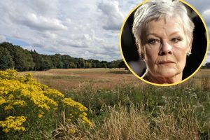 Whitewebbs Park and (inset) Dame Judi Dench (credit Caroline Bonarde Ucci via Wikimedia Commons)