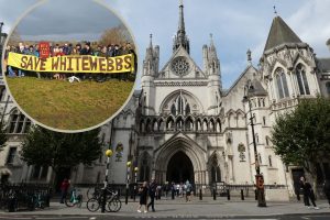 The Royal Courts of Justice in central London and (inset) a Save Whitewebbs protest last year