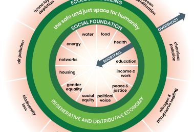 The Doughnut of social and planetary boundaries (credit Kate Raworth and Christian Guthier. CC-BY-SA 4.0. Citation: Raworth, K. (2017), ‘Doughnut Economics: seven ways to think like a 21st century economist’. London: Penguin Random House)