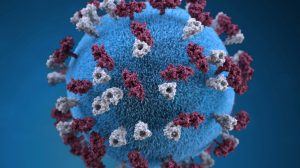 The measles virus
