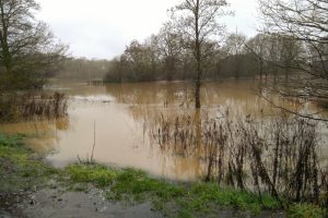 Flooding at Whitewebbs Park in January 2021